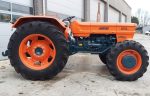 FIAT 850 4WD - Image 3